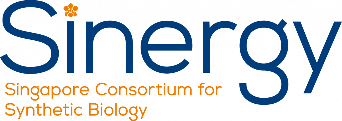 Sinergy