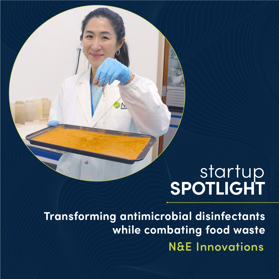 Transforming antimicrobial disinfectant solutions while combating food waste