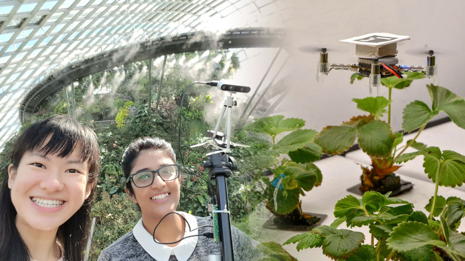 Singapore at Local Startup Explains Deep Tech & its Relationship with... Tomatoes?